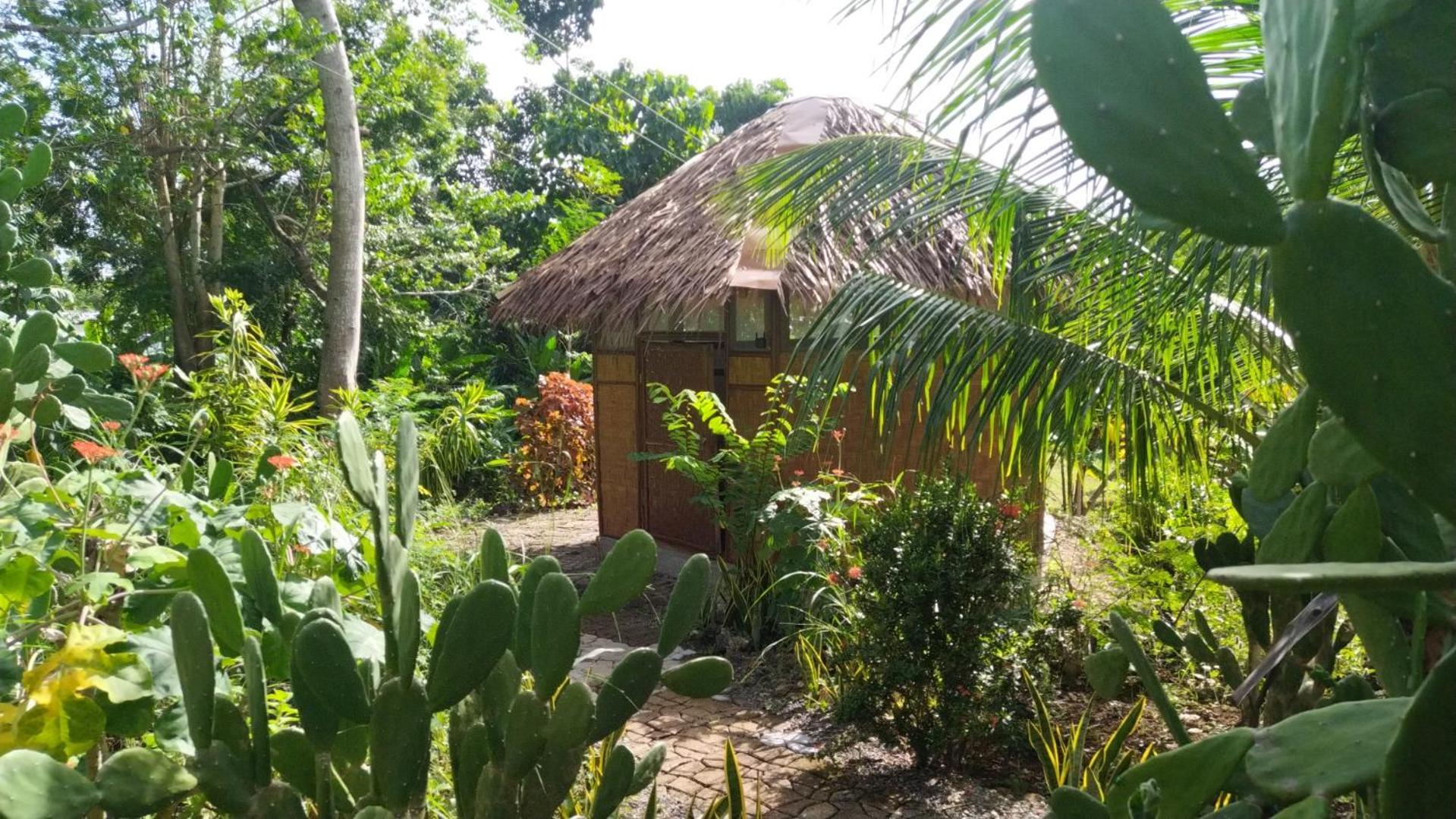 Little Nomads Eco-Guesthouse シキホール 部屋 写真