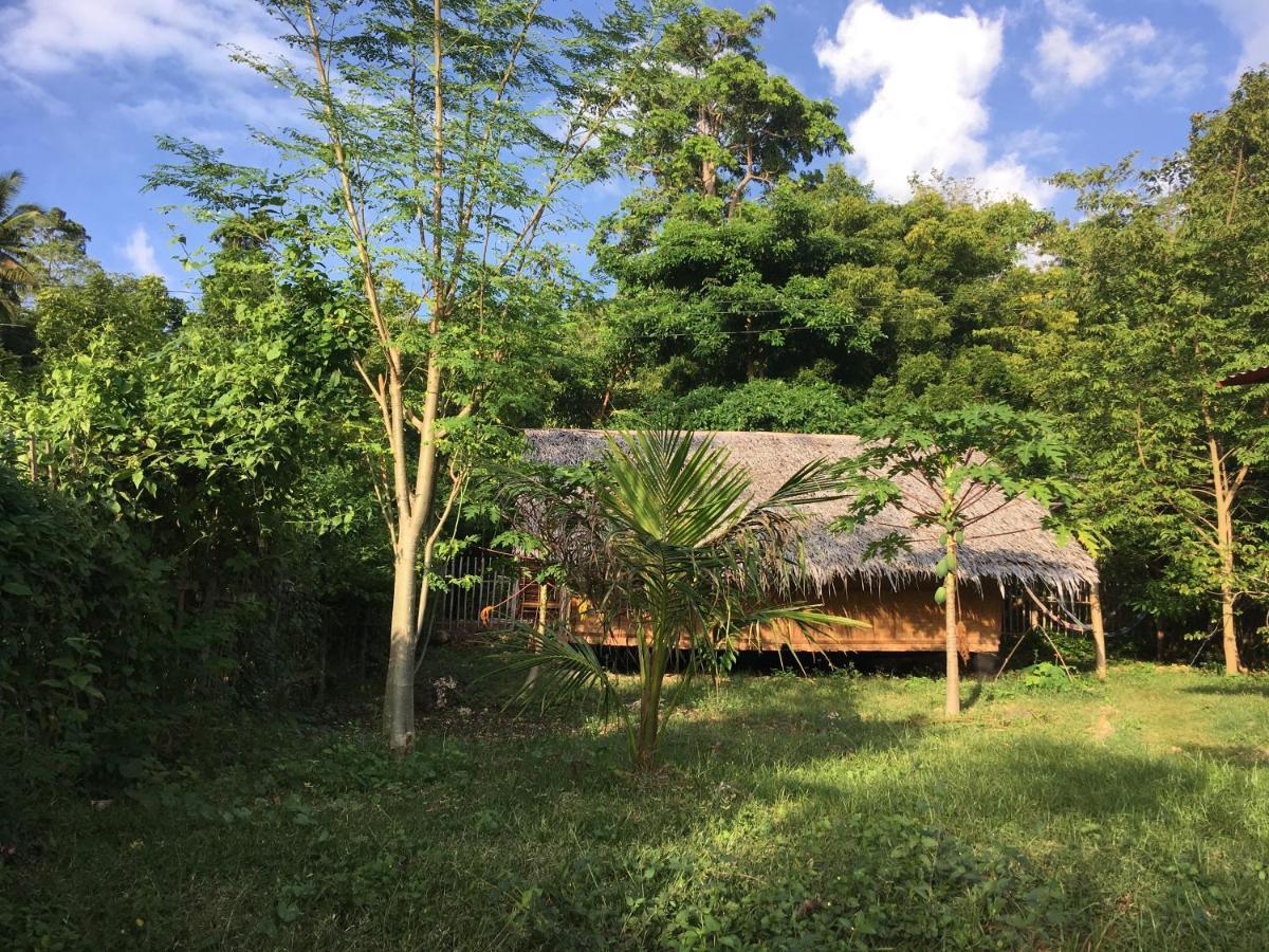 Little Nomads Eco-Guesthouse シキホール エクステリア 写真